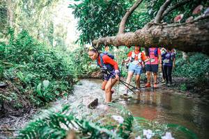 BIB: 
                            <button type="button" onclick="openModal(25515373)" class="btn btn-primary btn-sm float-right btn-popup" data-toggle="modal" data-target=".modal-high-quality">
                        <i class="fas fa-shopping-cart"></i> Add to Cart
                    </button>
                                            <button type="button" onclick="isThisMe(25515373, true)" class="btn btn-success btn-sm float-right btn-popup btn-isme hidden" data-toggle="tooltip" data-placement="bottom" title="นี่คือรูปของคุณใช่ไหม คลิกที่นี่เพื่อเอาเข้าอัลบั้ม">
                        <i class="fas fa-plus"></i> Add to album
                    </button>
                    <button type="button" onclick="isThisMe(25515373, false)" class="btn btn-warning btn-sm float-right btn-popup btn-isnotme hidden">
                        <i class="fas fa-ban"></i> Remove from album
                    </button>